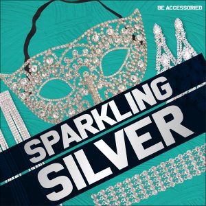 Shiny Silver Accessories