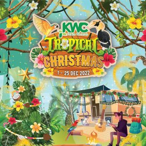 Tropical Christmas