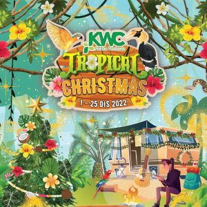 Tropical Christmas