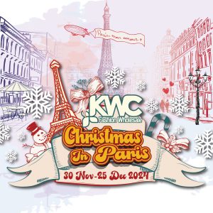 Christmas in Paris